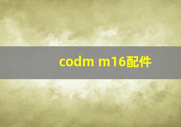 codm m16配件